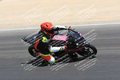 media/May-14-2023-SoCal Trackdays (Sun) [[024eb53b40]]/Turn 3 Inside (12pm)/